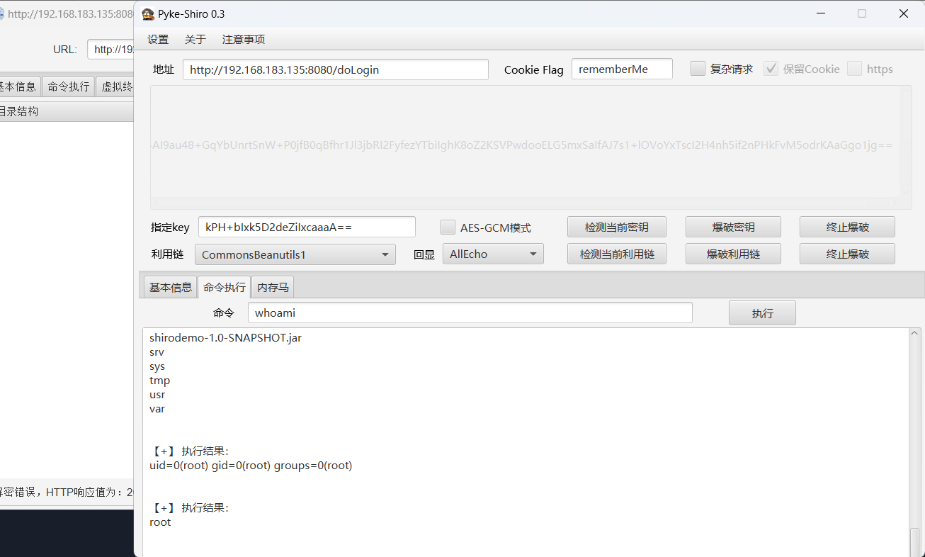 image-20250306115621653